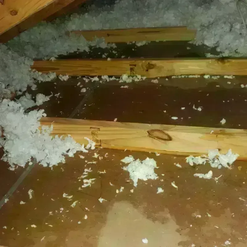 Attic Water Damage in Independence, IA