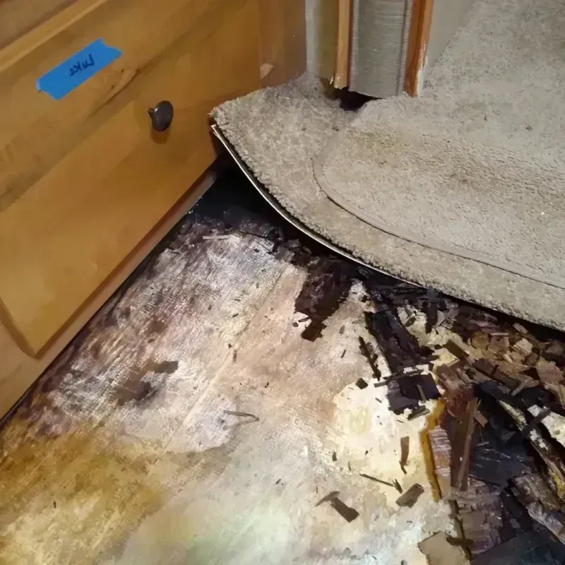 Wood Floor Water Damage in Independence, IA